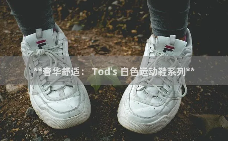 333体育平台app百度识图**奢华舒适： Tod\'s 白色运动鞋系列**